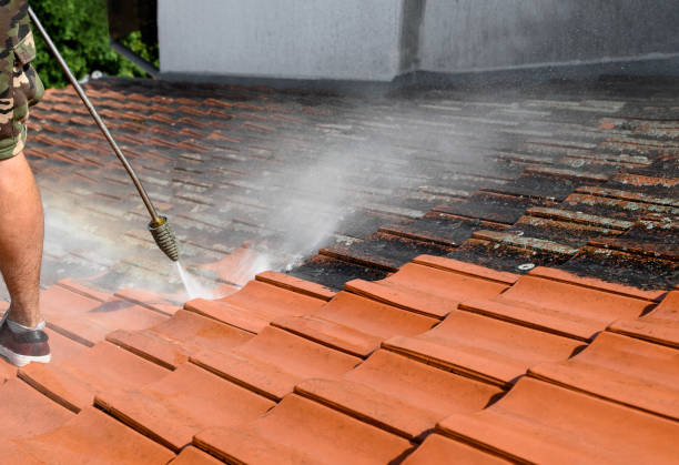 Best Concrete Pressure Washing  in Celina, TX