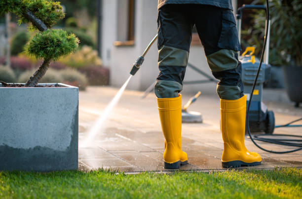 Best Roof Pressure Washing  in Celina, TX